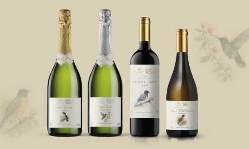 Coleção de aquarelas inspirada na avifauna da Serra Gaúcha chega às taças de vinhos