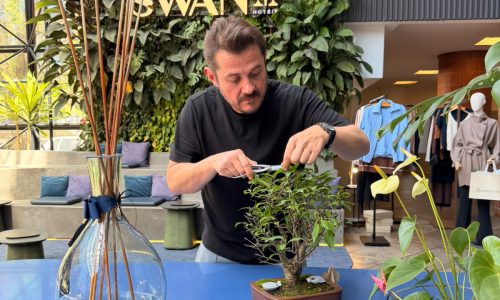 Exposição no Hotel Swan Novo Hamburgo apresenta bonsais de Sammy Roos, que levará seu trabalho à FELAB Brasil